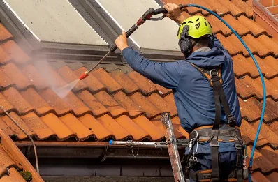 Démoussage et hydrofuge de toiture à Goyrans